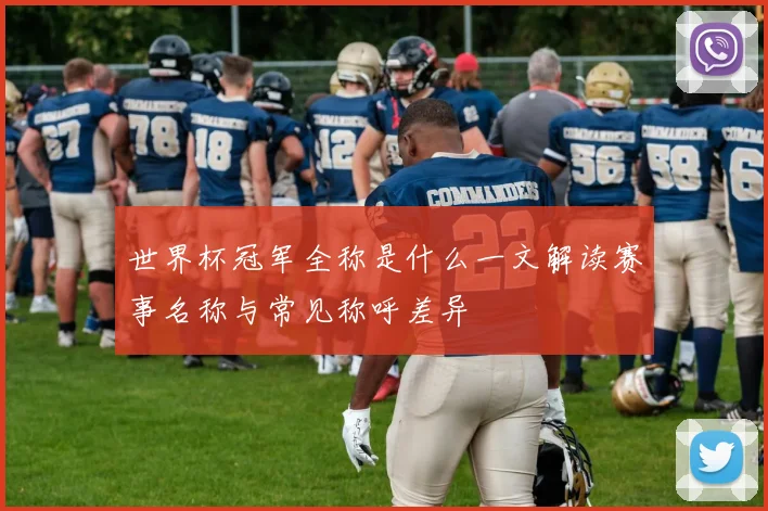 世界杯冠军全称是什么一文解读赛事名称与常见称呼差异