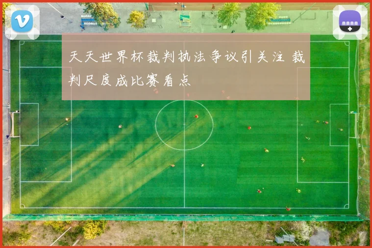 天天世界杯裁判执法争议引关注 裁判尺度成比赛看点