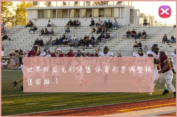 世界杯后竞彩停售 体育彩票调整销售安排_1