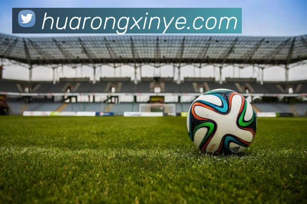 b体育官方网页平台生态图